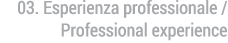 esperienza professionale